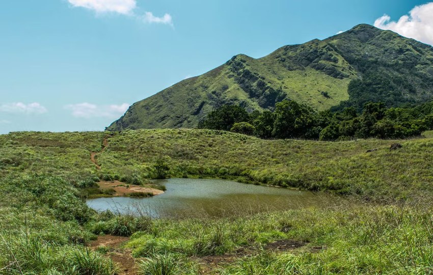 Chembra peak India