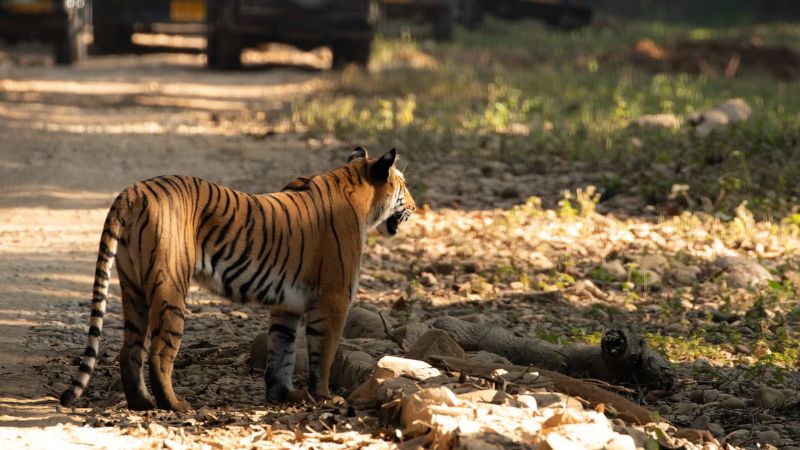 Parco nazionale Jim Corbett